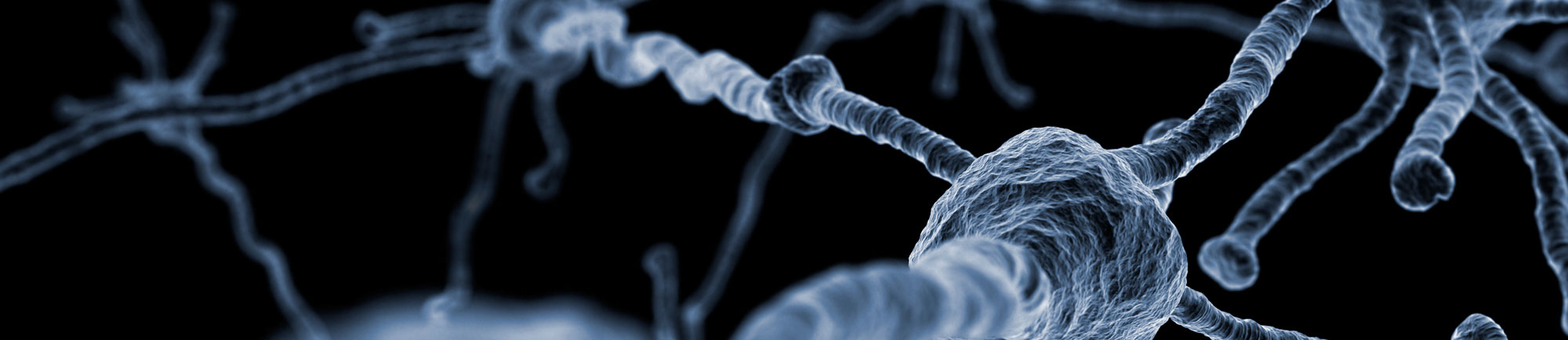 Banner del Grupo NIPSY